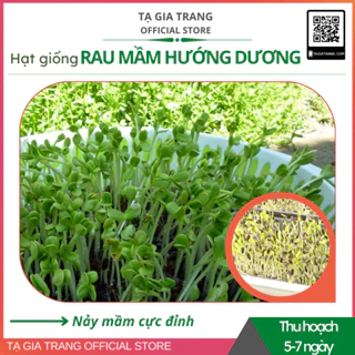 Hạt giống rau mầm hướng dương