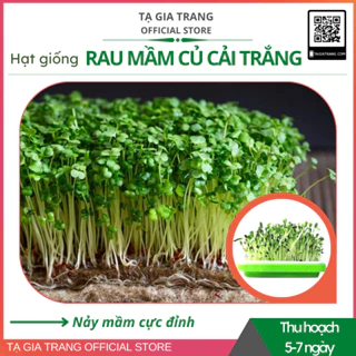 Hạt giống rau mầm củ cải trắng