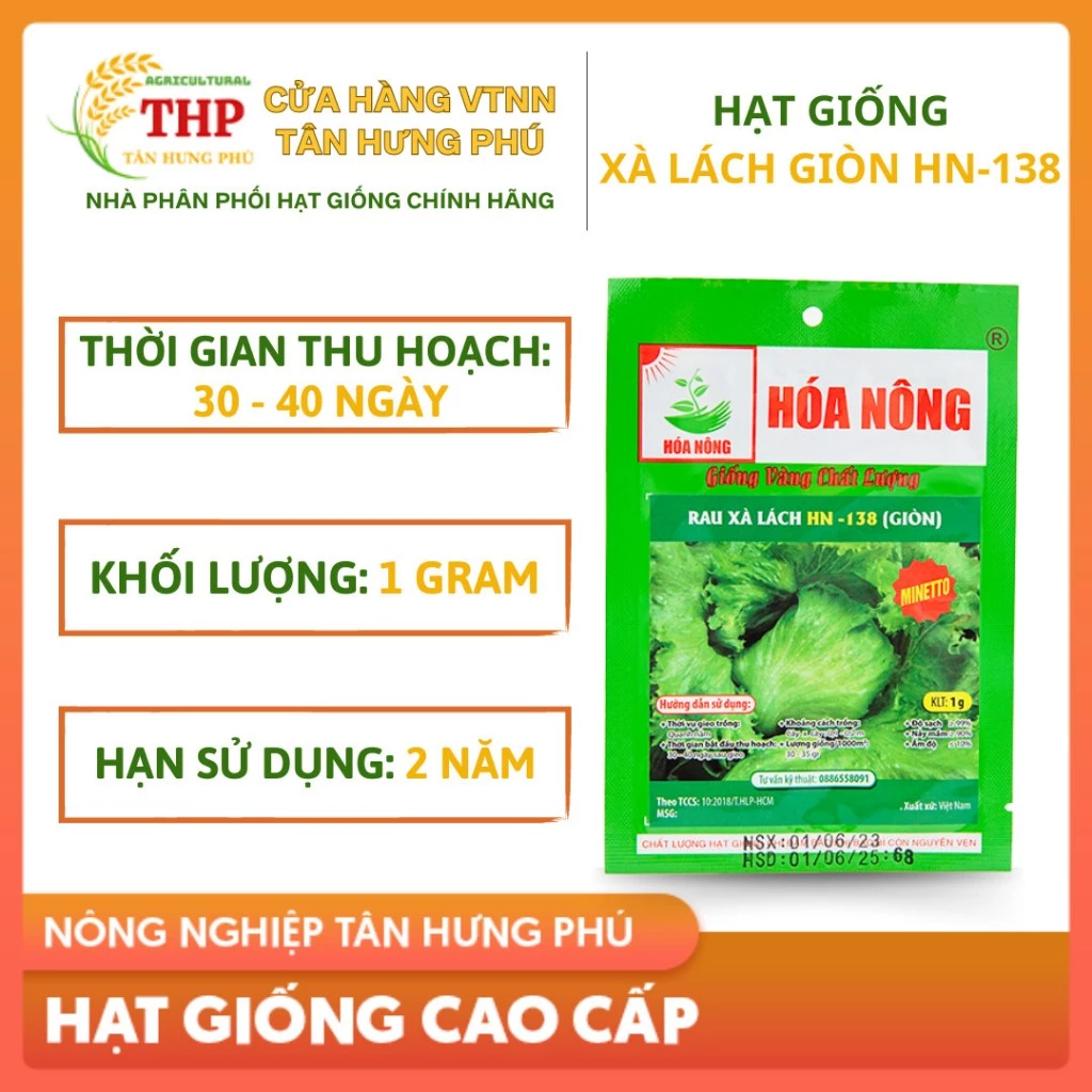 Giống Rau Xà Lách HN-138 (Giòn)