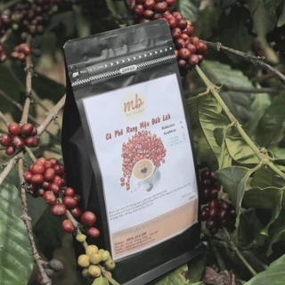 Cà phê rang mộc Đăk Lăk - 500Gr Robusta - MB Coffee