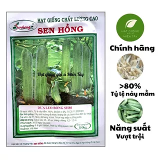 Hạt Giống Dưa Leo Bóng SH80 SEN HỒNG (GÓI 10G) - Cây kháng bệnh tốt, trái sớm, dài 17-19cm, rất bóng, rộ trái