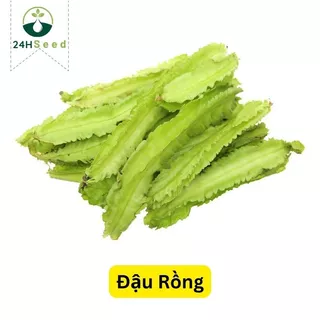 Hạt giống đậu rồng cao sản 24HSeed