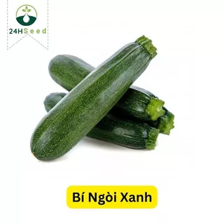 Hạt giống bí ngòi xanh 24HSeed