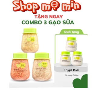 Set 3 hạt ăn dặm tăng đề kháng hữu cơ MĂMMY: Hạt Kê Nếp, Đậu Lăng Đỏ, Hạt Diêm Mạch Quinoa