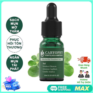 Serum giảm mụn mờ thâm Caryophy Portulaca Ampoule 10ml-CH