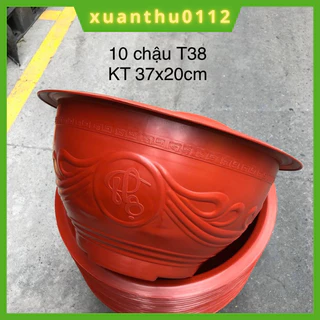 [Combo 10 chậu]Chậu nhựa trồng cây Phúc lộc thọ T38 trồng đào, quất, cây cảnh tết