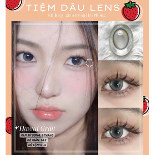 🍓[HAWAI GRAY] 0 - 6 độ xám giãn nhẹ hiệu ứng filter douyin (khách mua combo vui lòng NOTE độ cận giúp shop)