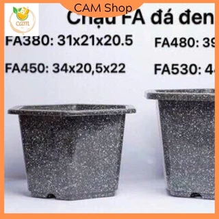 [Combo10 chậu]Chậu nhựa trồng hoa cây cảnh lục giác FA380 KT 28x20cm 10 chậu hàng loại 1 dày đẹp