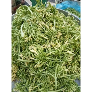 1kg hoa đu đủ đực tươi hàng chuẩn Vietgap Bông đu đủ đực