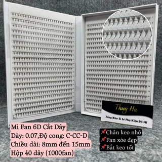 Mi fan 6D Hộp 40 dây/1000fan dày 0.07_cong C-D_mi fan tay_mi volume siêu đẹp _DỤNG CỤ NỐI MI_THÚY HÀ