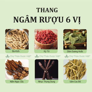 Thang ngâm bổ thận, khỏe gân cốt, 6 vị tổng 1,2kg, tăng cường sinh lý, bồi bổ cơ thể - Chợ Thảo Dược Việt