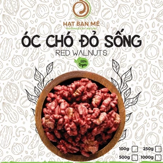 NHÂN ÓC CHÓ ĐỎ - QUẢ ÓC CHÓ ĐỎ - NHẬP KHẨU MỸ - HẠT BAN MÊ FOOD