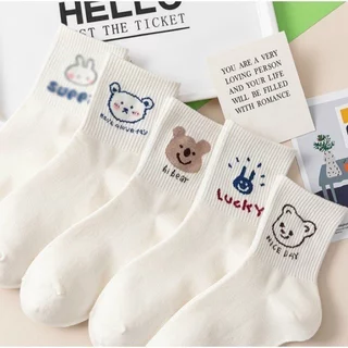 Tất GẤU cổ cao nữ set 5 đôi họa tiết cute, vớ nữ chất liệu vải cotton co giãn bốn chiều