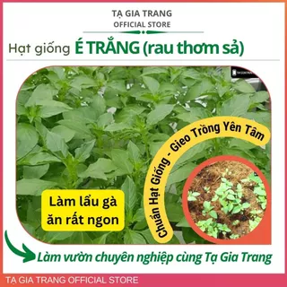 Hạt giống lá é trắng (rau thơm sả - lá é ăn lẩu gà) - Shop hạt giống Tạ Gia Trang