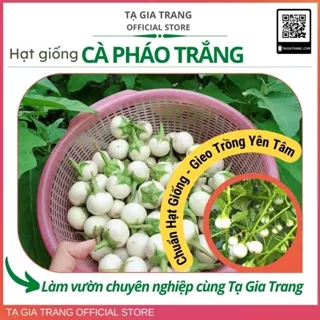 Hạt giống cà pháo trắng cao sản