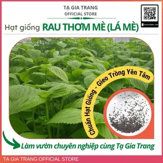 Hạt giống lá mè Hàn Quốc (lá vừng xanh - rau thơm mè Sesame)