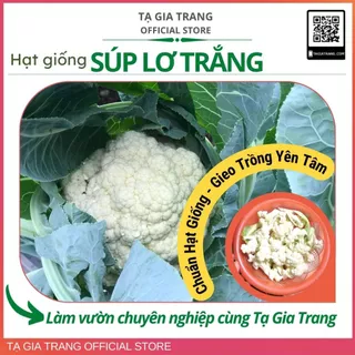 Hạt giống súp lơ trắng (bông cải trắng)