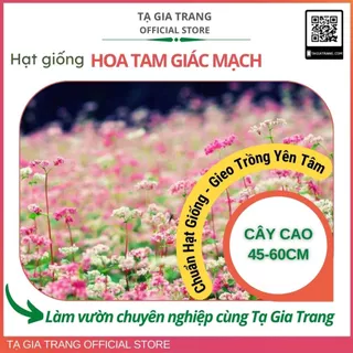 Hạt giống Hoa Tam Giác Mạch