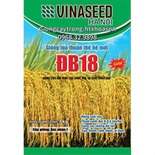 GIỐNG LÚA THUẦN ĐB18 GÓI 1KG- NĂNG SUẤT CAO- CỨNG CÂY, CHỐNG ĐỔ TỐT- GẠO THƠM, CƠM MỀM, VỊ ĐẬM