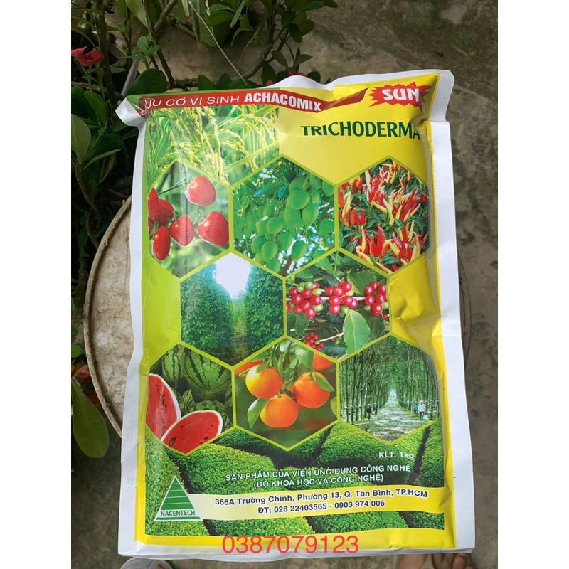 Trichoderma 1kg sp Bộ khoa học và công nghệ (men vi sinh / nấm đối kháng): Cải tạo đất, phòng trừ nấm khuẩn