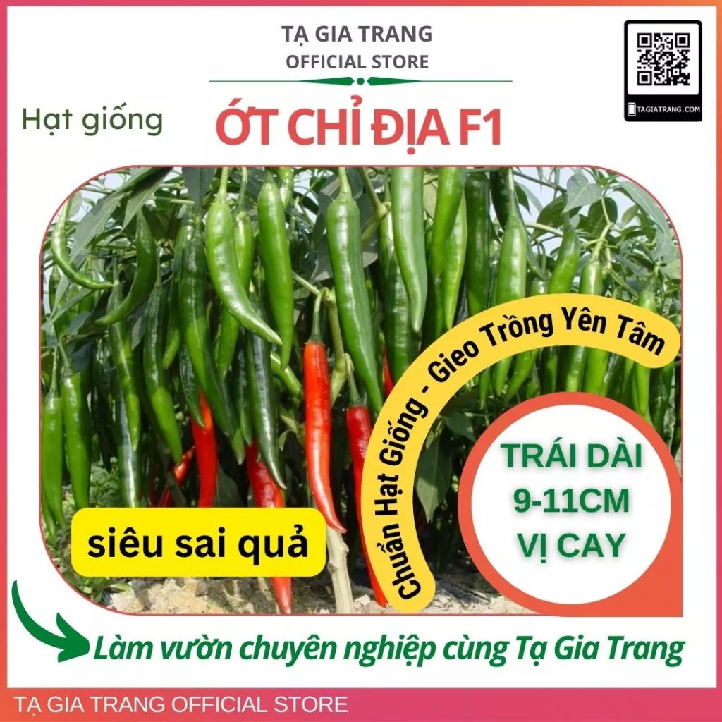 Hạt giống Ớt chỉ địa F1