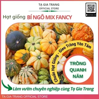 Hạt giống bí ngô mix fancy - Gói 1g