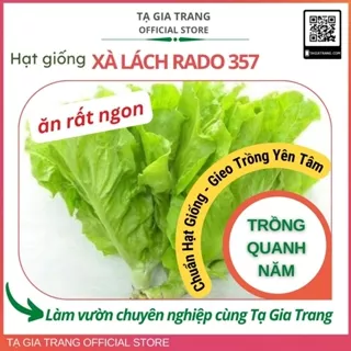 Hạt giống Xà lách cao sản Rado 357