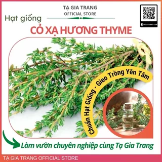 Hạt giống Cỏ Xạ Hương Thyme