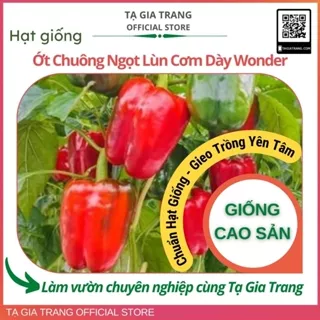 Hạt giống Ớt Chuông Ngọt Lùn Cơm Dày Wonder