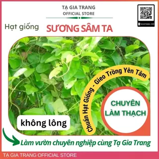 Hạt giống Sương Sâm ta