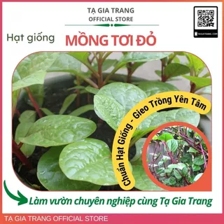 Hạt giống rau mồng tơi đỏ (mùng tơi tím) dễ trồng, ít sâu bệnh