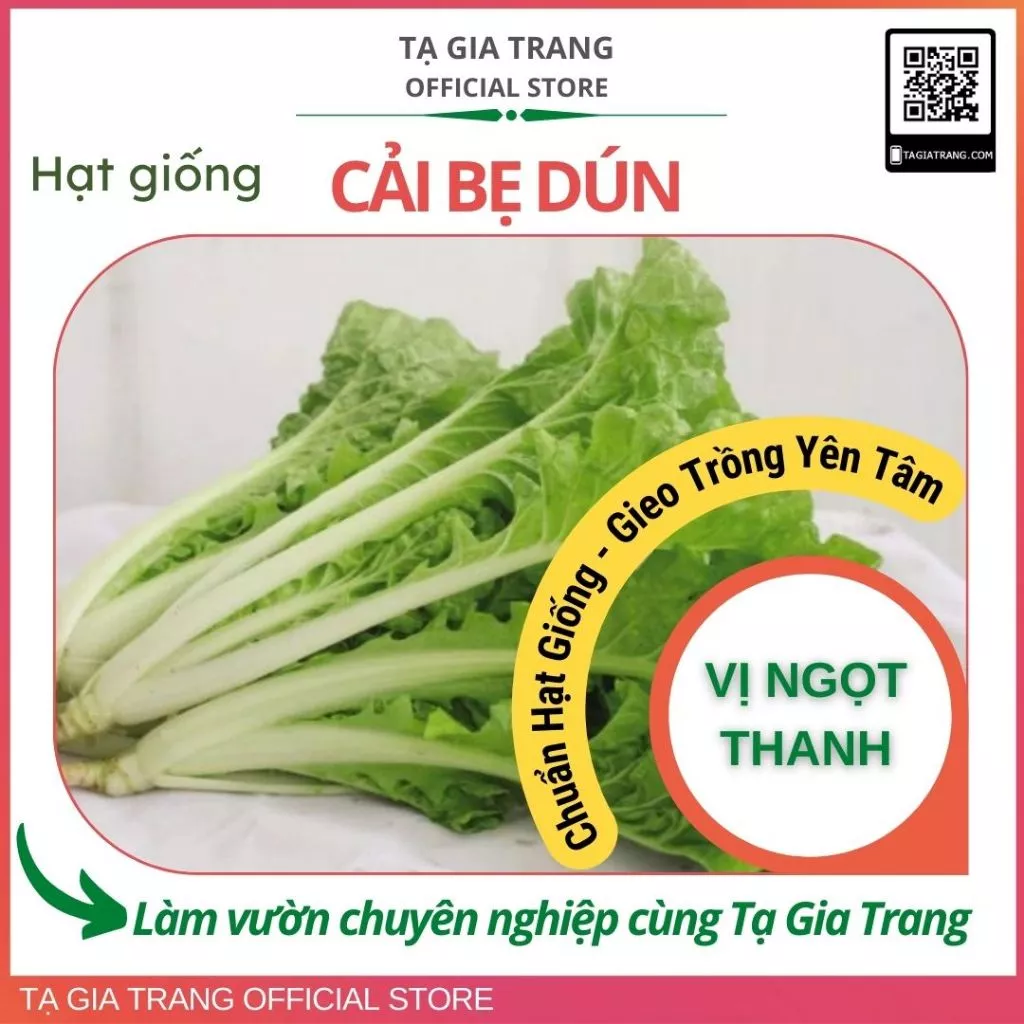 Hạt giống rau cải bẹ dún giòn ngọt