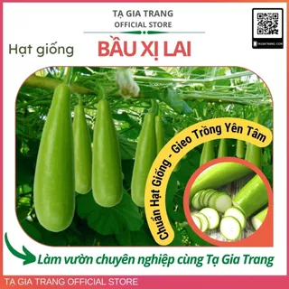 Hạt giống Bầu xị lai