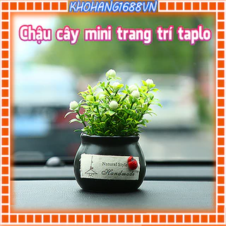 Chậu cây mini trang trí taplo ô tô, bàn làm việc