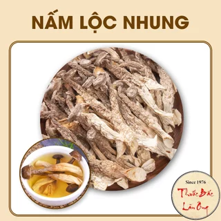 Nấm lộc nhung 100g (Nấm quý từ thiên nhiên, thơm ngon, bổ dưỡng)