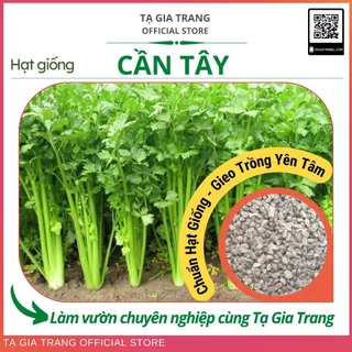 Hạt giống cần tây - Shop hạt giống Tạ Gia Trang