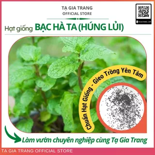 Hạt giống rau bạc hà ta (húng lủi) trồng quanh năm