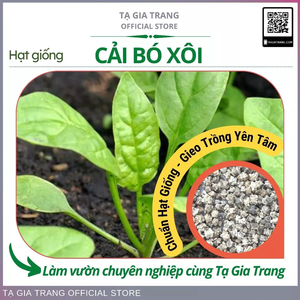 Hạt Giống Rau Cải Bó Xôi Chịu Nhiệt - Rau Chân Vịt, Rau Bina - Shop hạt giống Tạ Gia Trang