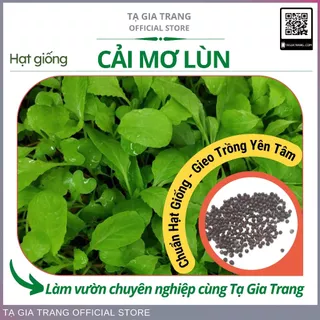 Hạt giống rau cải mơ lùn (cải mơ đăm) - Shop hạt giống Tạ Gia Trang