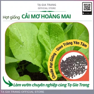 Hạt giống rau cải mơ hoàng mai - Shop hạt giống Tạ Gia Trang