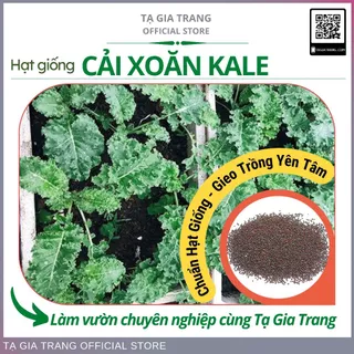 Hạt giống rau cải xoăn kale kháng bệnh tốt, trồng quanh năm