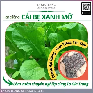 Hạt giống rau cải bẹ xanh mỡ - Shop hạt giống Tạ Gia Trang