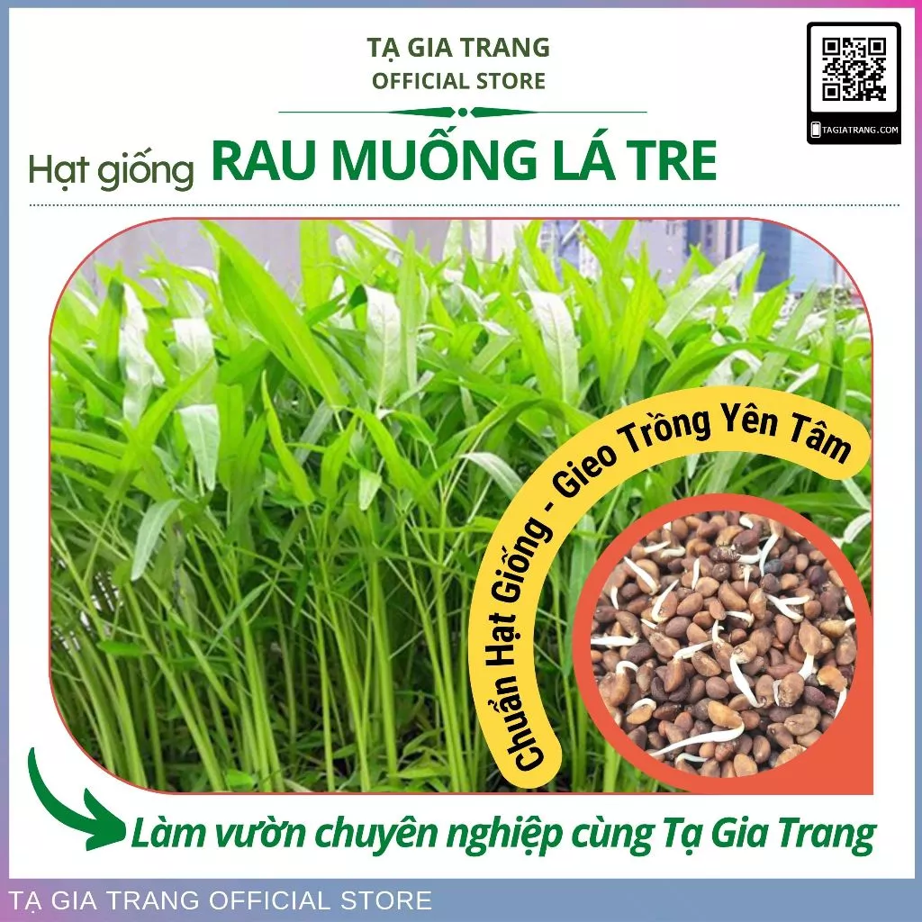 [Top Bán Chạy] - Hạt giống rau muống lá tre - Shop hạt giống Tạ Gia Trang