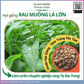 Hạt giống rau muống lá to (lá lớn)