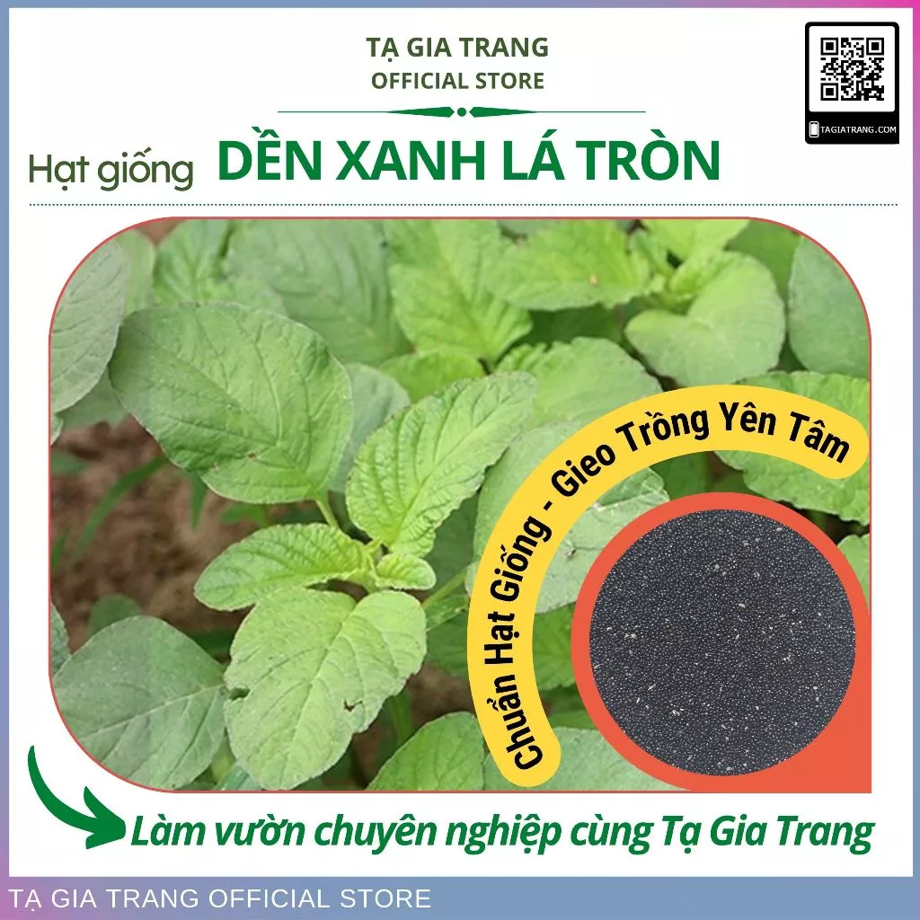 Hạt giống rau dền xanh lá tròn (lá hến) - Shop hạt giống Tạ Gia Trang