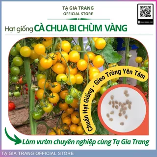 Hạt giống cà chua bi chùm vàng (Cà chua cherry vàng)