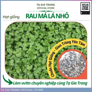 Hạt giống rau má lá nhỏ dễ trồng dễ chăm sóc