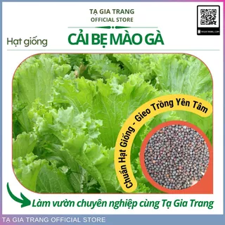 Hạt giống cải bẹ mào gà - Shop hạt giống Tạ Gia Trang