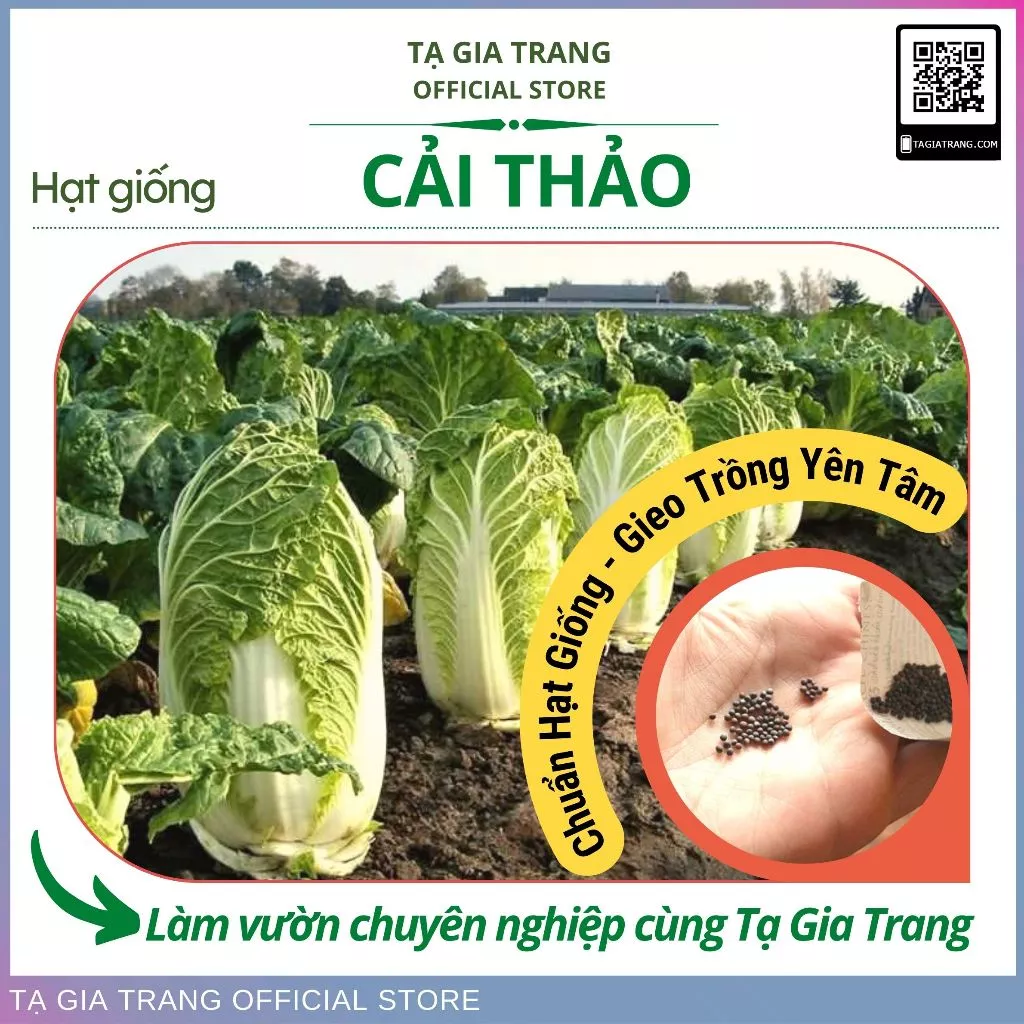 Hạt giống Cải thảo F1