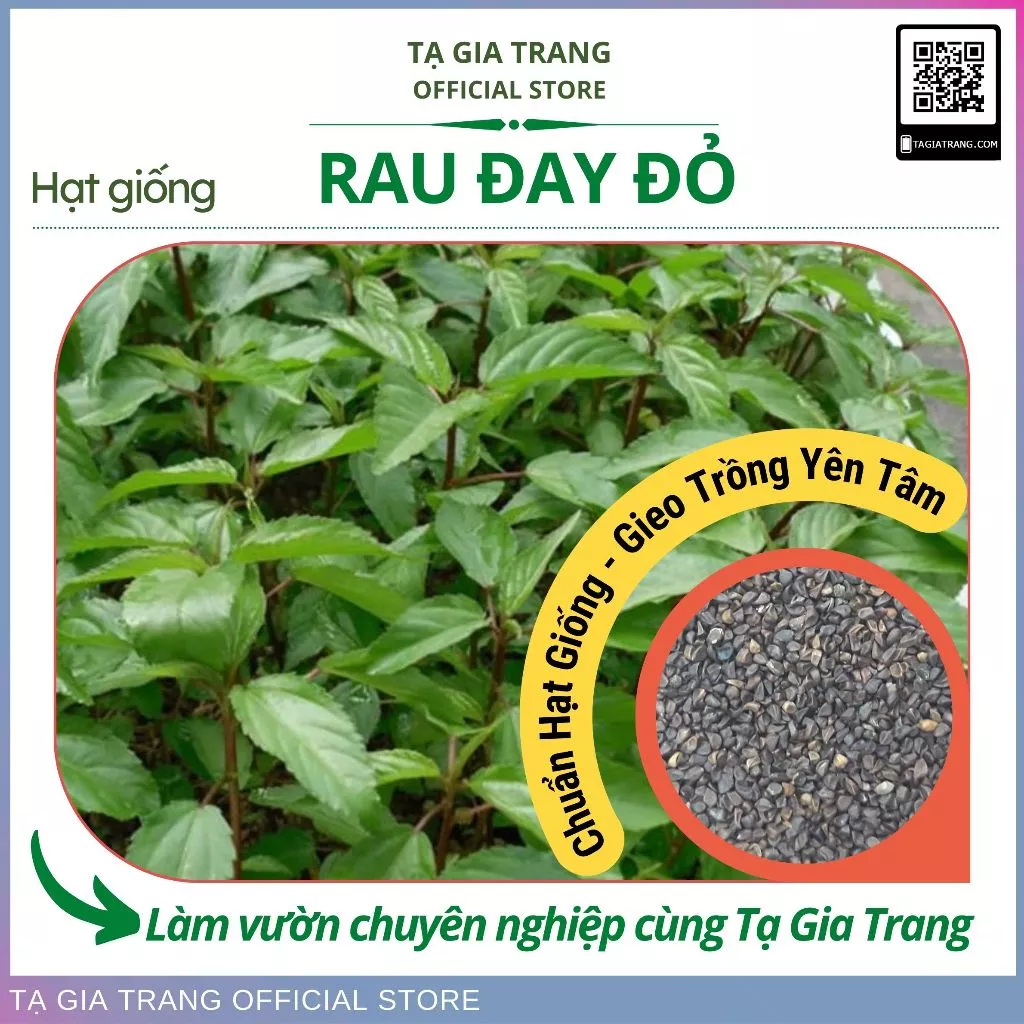 [Top Bán Chạy] - Hạt giống rau đay đỏ